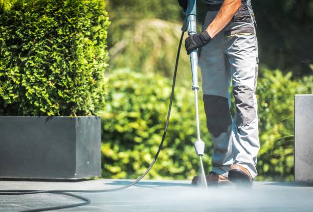 Best Driveway Pressure Washing  in Earlimart, CA